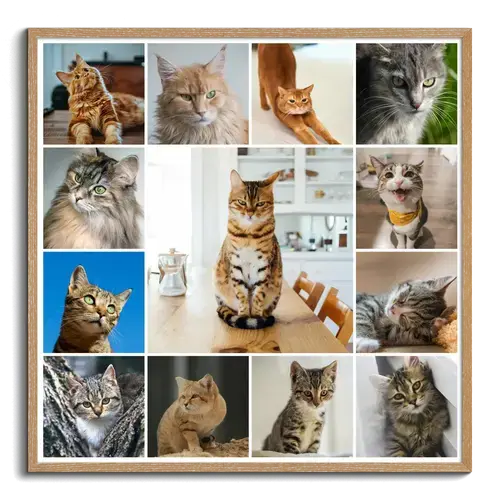 Create your cat photo collage with templates & custom text – print or download