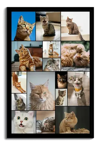 Cat Photo Collage with Custom Texts