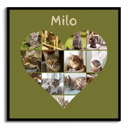 Cat Heart Photo Collage - Create yours now, add your cat's name or custom text