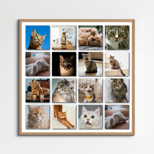 Cat Polaroid Photo Collage - add your cat's name & text; create yours now