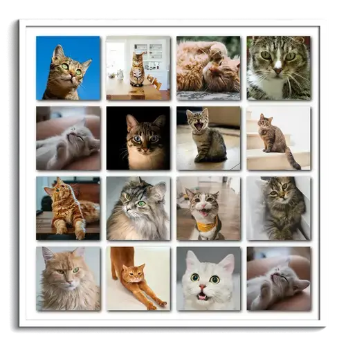 Polaroid Cat Photo Collage with Text
