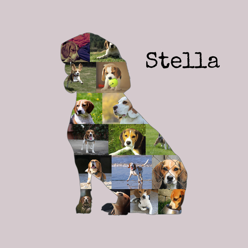 Create Your Custom Beagle Photo Collage - Perfect Gift for Dog Lovers!