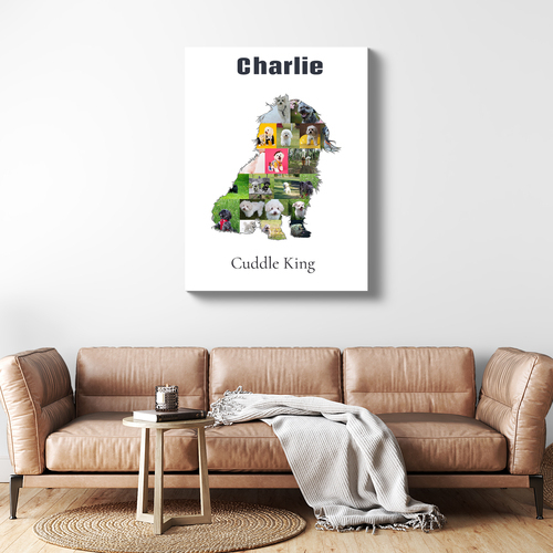 Create Your Bolonka Zwetna Photo Collage: Personalized Pet Keepsake