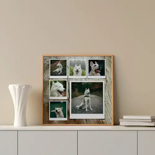 Dog Photo Collage with Custom Layouts