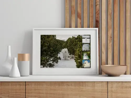 Dog Photo Collage with Custom Layouts