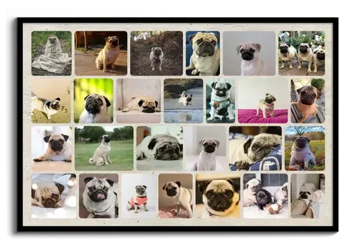Dog Photo Collage with Custom Layouts