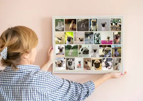 Dog Photo Collage with Custom Layouts