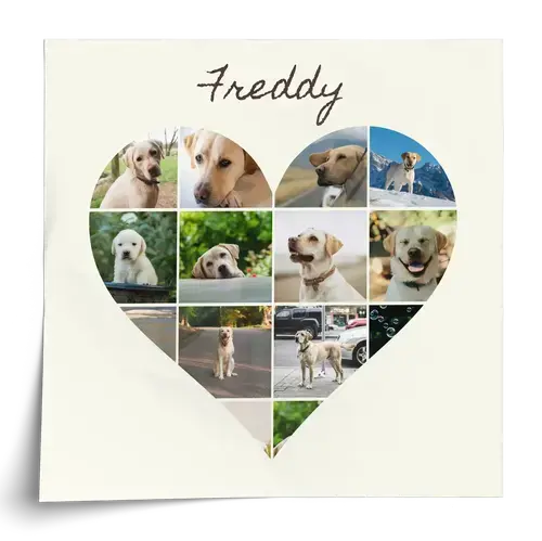 Dog Photo Collage for Pet Parents