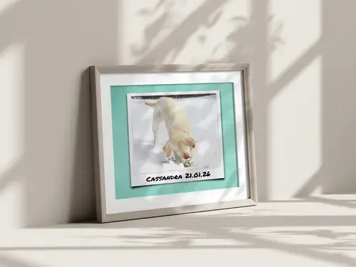 Dog Photo Collage for Pet Parents