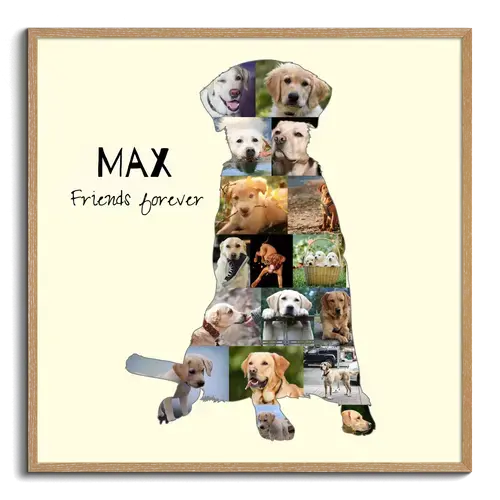 Create Your Own Labrador Photo Collage: Personalize with Photos & Text