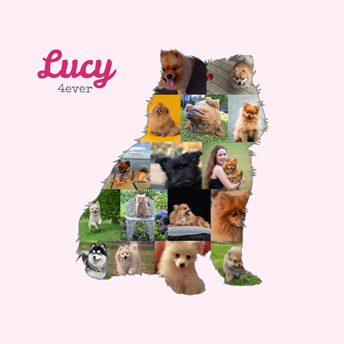 Create Your Pomeranian Photo Collage: Personalize with 15-20 Pics & Text