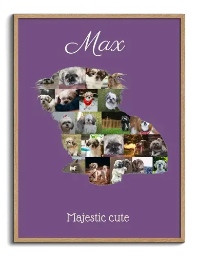 Create Your Own Shih Tzu Photo Collage - Personalize with Your Text