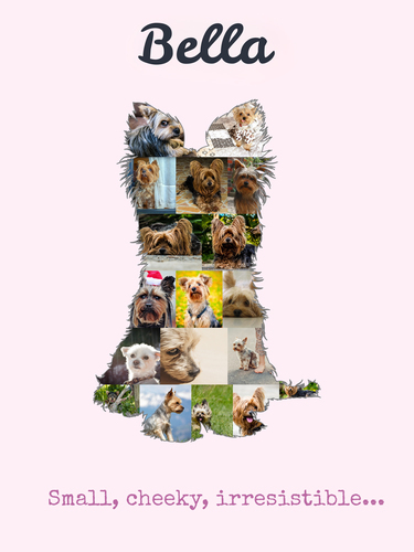 Create Your Own Yorkie Photo Collage: Personalize with Photos and Text