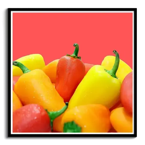 Cool Photo Canvas Poster Acrylic Dibond