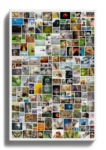 Create Your Own Large Vertical Wild Photo Collage - Up to 200 Pics!