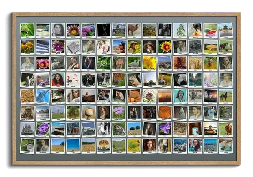 Create Your Own Polaroid-Style Travel Memory Collage with Over 100 Photos