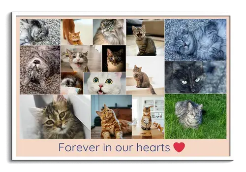 Pet Memorial Photo Collage Templates