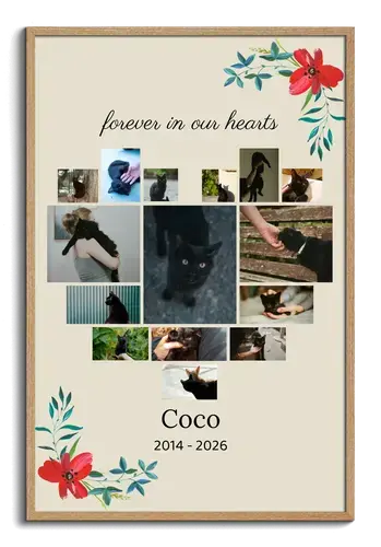 Cat Memorial Collage, Single Photo, Name & Dates