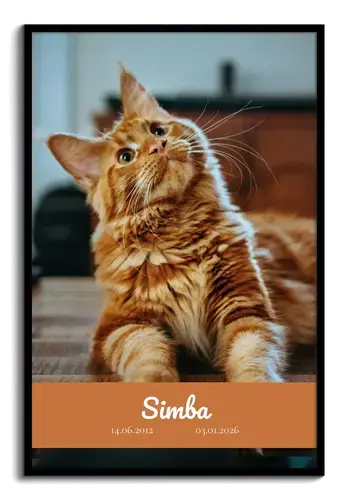 Cat Memorial Collage, Single Photo, Name & Dates