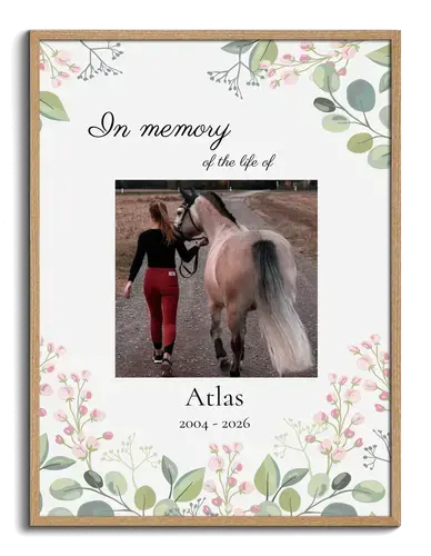 Horse Memorial Poster (Photo, Name & Dates)