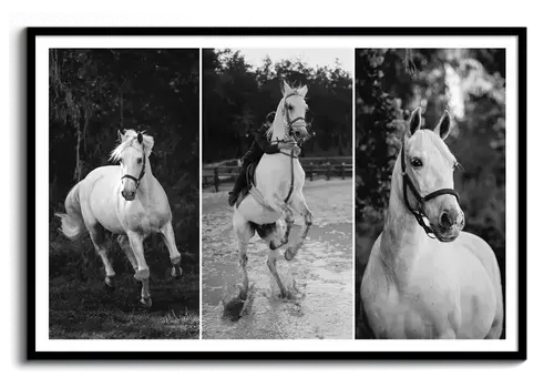 Horse Memorial Poster (Photo, Name & Dates)