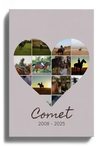 Horse Memorial Photo Collage Poster Template