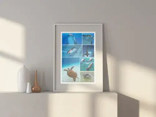 Underwater Marine Life Collage in Premium Print