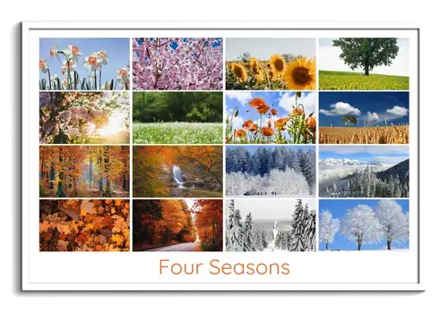 Seasonal Nature & Wildlife Collage Prints