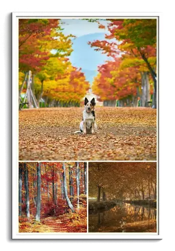 Autumn Memories Collage Templates