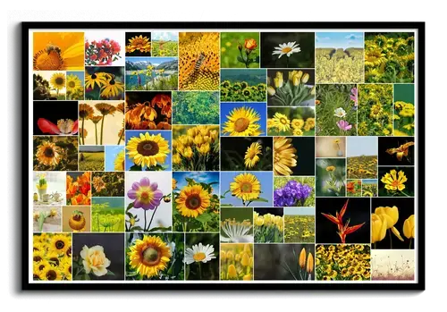 Create Your Wild Flower Collage Poster - Personalize with 61 Photos