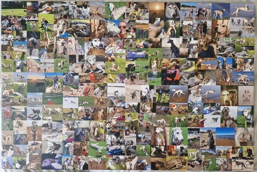 Customer Photo by Beverley for Review Print Photo Collage Canvas 36x24"