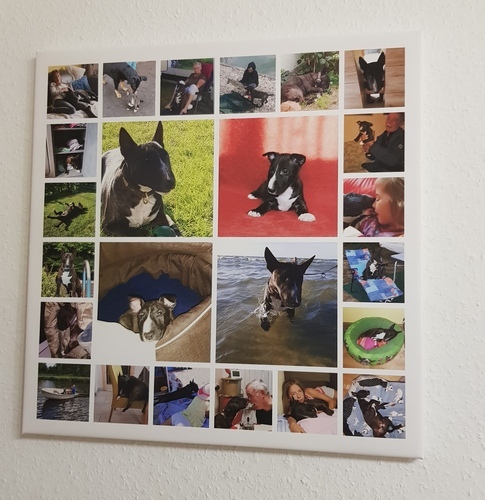 Customer Photo by Bianca for Review Print Photo Collage Canvas 50x50cm