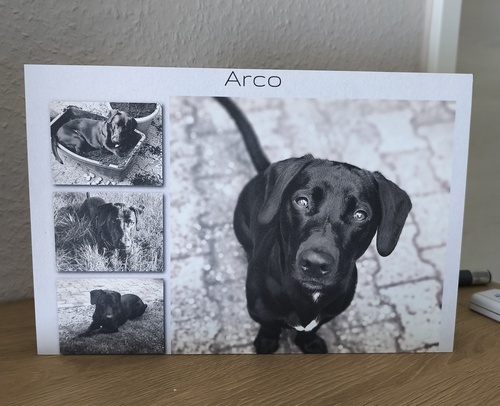 Customer Photo by Christiane for Review Print Photo Collage Foam Board 30x20cm