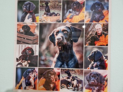 Customer Photo by Kathrin for Review Print Photo Collage Acrylic 80x80cm