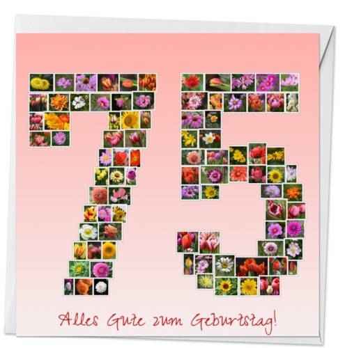 Customer Photo by Petra for Review Photo Collage as download