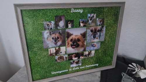 Customer Photo by Stefan for Review Print Photo Collage Poster 40x30cm