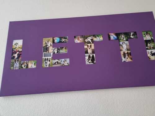 Customer Photo by Ulrike for Review Print Photo Collage Canvas 100x50cm