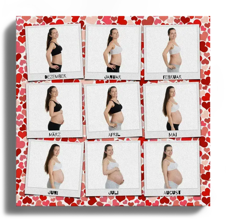 Baby Bump as Photo Collage Monthly Photos