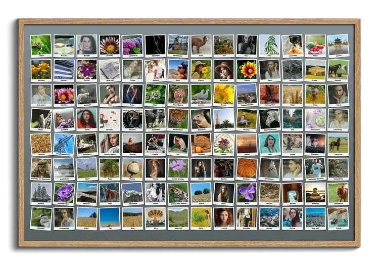 Photo collage create hundred photos with polaroids