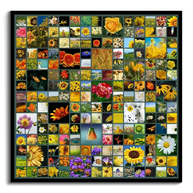 Photo collage design many photos grid variations