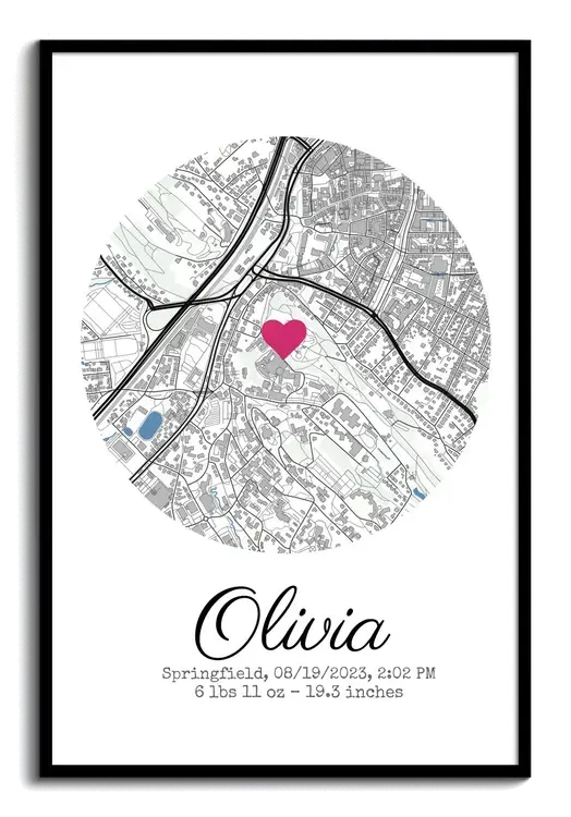 Customizable Baby Birth Details Poster