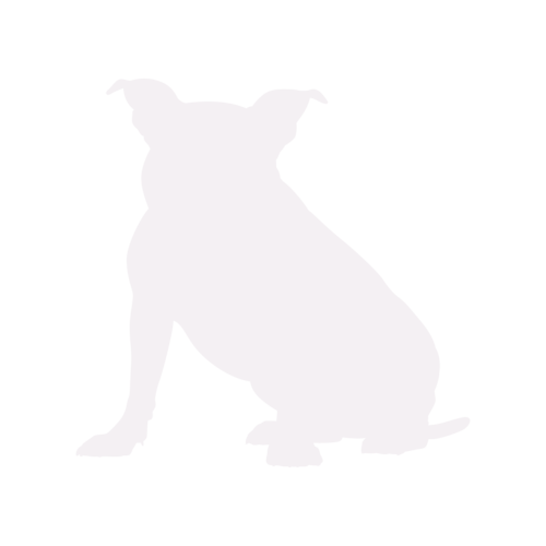 Dog silhouette American Bully sitting