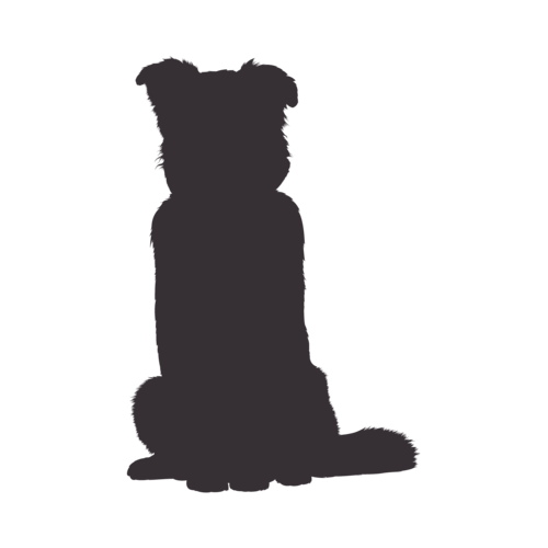 Dog silhouette Australian Shepherd sitting