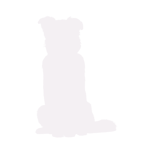 Dog silhouette Australian Shepherd sitting