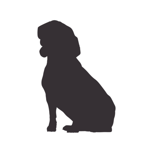 Dog silhouette Beagle sitting