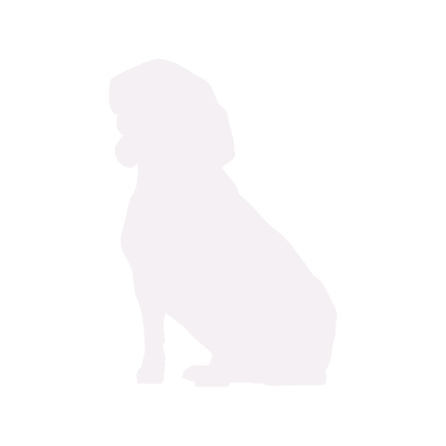 Dog silhouette Beagle sitting