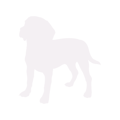 Dog silhouette Beagle standing
