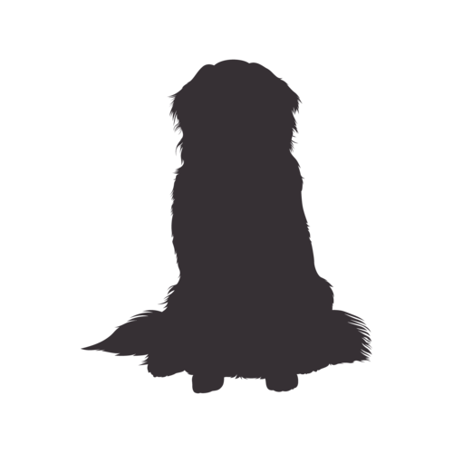 Dog silhouette Bernese Mountain Dog sitting