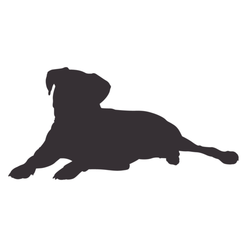 Dog silhouette Boxer sitting