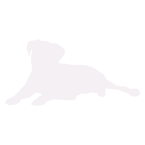 Dog silhouette Boxer sitting